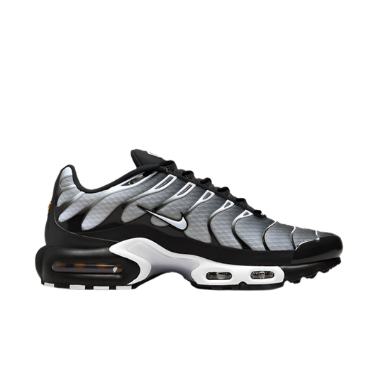 Nike Air Max Plus "Black/Silver"